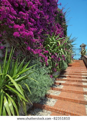 mediterranean garden stairs
