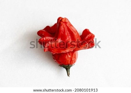 Dried red hot vizier pepper on a white background, shiny turbid fruits, chili pepper, top view Imagine de stoc © 