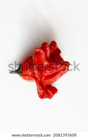 Dried red hot vizier pepper on a white background, shiny turbid fruits, chili pepper, top view Imagine de stoc © 