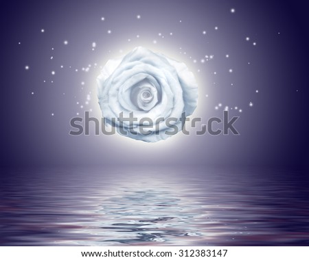 Rose - the moon reflected in the water