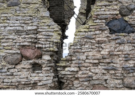 Similar – Image, Stock Photo protected wall remnant from the cold war