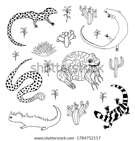 Different kinds of amphibian animals. Lizard, moloch, toad, snake, monitor lizard. Vector stock illustration.