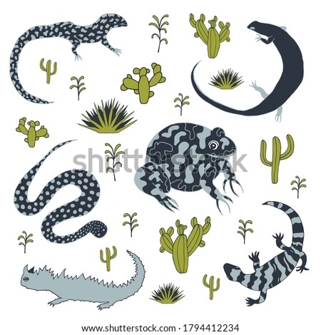 Reptiles illustration. Different kinds of amphibian animals in grey and green colors. Lizard, moloch, toad, snake, monitor lizard, gila monster. Vector stock illustration.