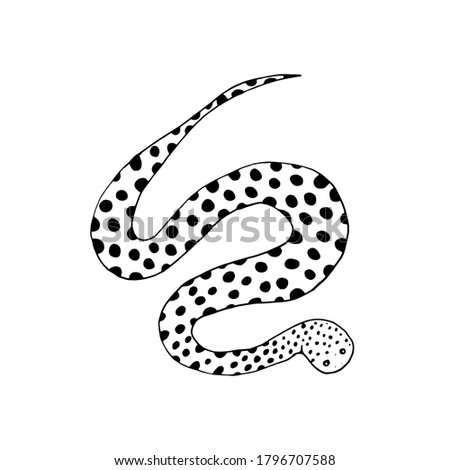 Bitis snake vector illustration. Black and white stock sketch. Reptile animal.