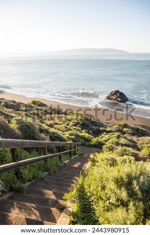 Similar – Foto Bild Big Sur-Ansicht am frühen Morgen