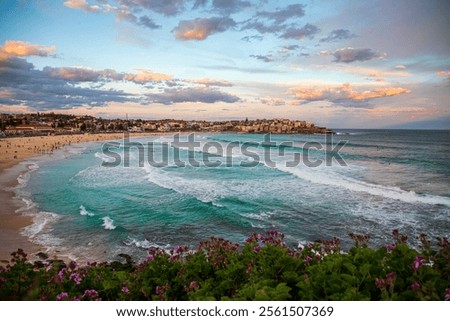 Similar – Foto Bild Am Strand Surfen