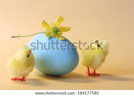 Two cute Easter chicken, one yellow flower and a blue chocolate Easter egg, on orange background