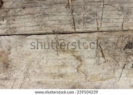 Old natural wood texture background.