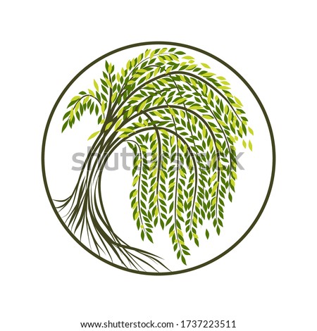 Weeping Willow Tree Silhouette Clip Art Weeping Willow Clip Art Stunning Free Transparent Png Clipart Images Free Download