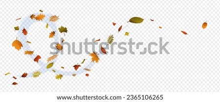 Autumn leaves falling. Leaves air. Flying autumn leaves. Wave of falling leaves.Leaf fall. Autumn.