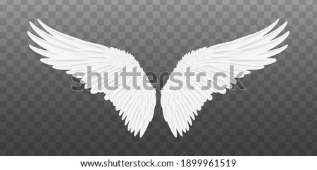 White realistic wings. Pair of white isolated angel style wings with feathers. Vector illustration bird wings design