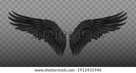 Angel black wings bird fly realistic. Wings of Darkness. Pair of black isolated angel style wings