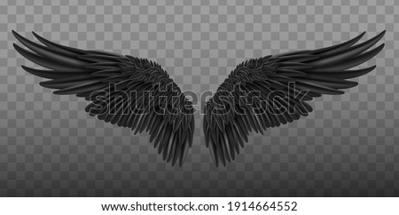 Realistic black wings. Pair of white isolated angel style wings with 3D feathers on transparent background.