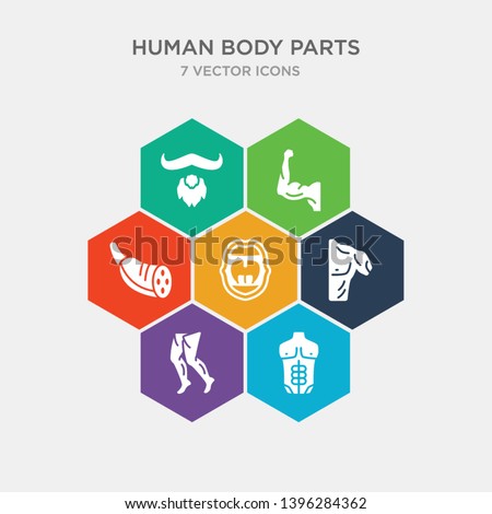 simple set of men chest, men leg, men shoulder, mouth open icons, contains such as icons muscle fiber, muscular arm, mustache curled tip variant and more. 64x64 pixel perfect. infographics vector