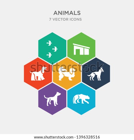 simple set of leopard, pit bull, chihuahua, pekingese icons, contains such as icons afghan hound, doghouse, flock of birds and more. 64x64 pixel perfect. infographics vector