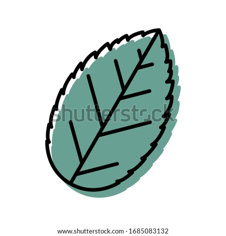 Mint leaf icon. Trendy minimalist leaf vector icon for web design and apps isolated on white background. Trendy line art.