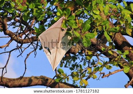 Similar – Image, Stock Photo Kite caught on tree kites