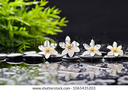 Spa Still