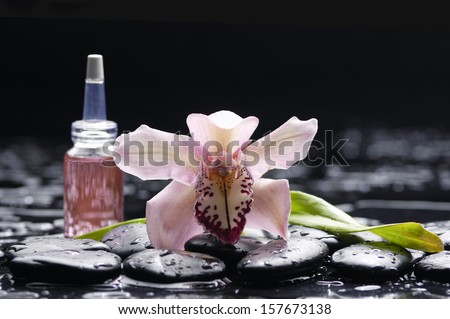 Still life with gorgeous orchid ,massage oil, leaf and zen stones