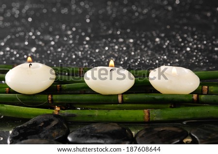 Three candle with green bamboo grove on wet background