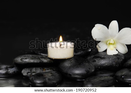White orchid with white candle and therapy stones