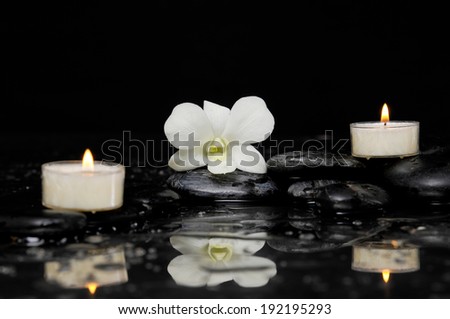 white orchid with two white candle and therapy stones reflection