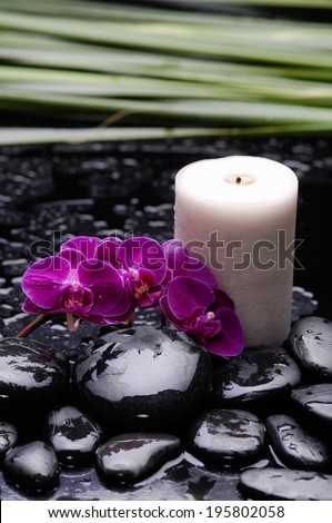 spa concept Ã¢Â?Â?red orchid and ,candle, green leaf