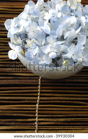 hydrangea flower at spa salon