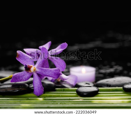 spa concept Ã¢Â?Â?orchid with candle with green plant stem