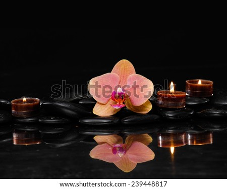 Beautiful orange orchid with three candle and therapy stones