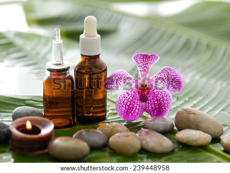 spa supplies with orchid, oil, candle , stones on banana leaf