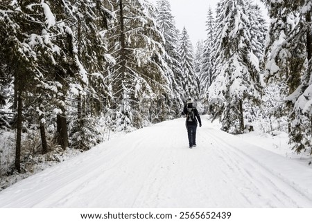 Similar – Image, Stock Photo Lonely hiker on frozen lake