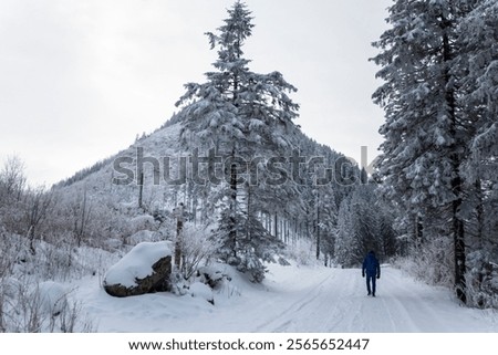 Similar – Image, Stock Photo Lonely hiker on frozen lake