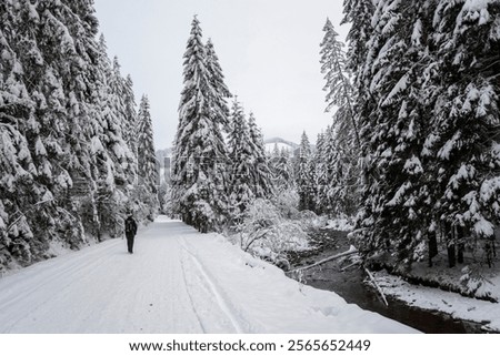 Similar – Image, Stock Photo Lonely hiker on frozen lake