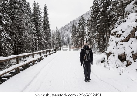 Similar – Image, Stock Photo Lonely hiker on frozen lake