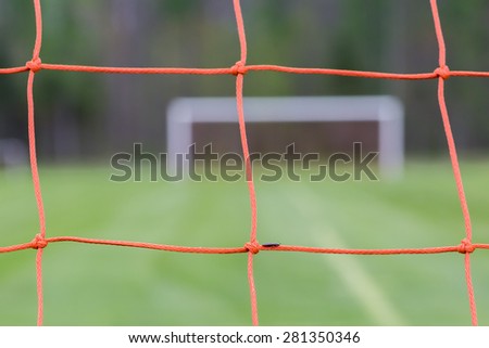 Bug crawling on a football net - Shallow depth of field