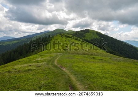 Similar – Image, Stock Photo Path through the meadow