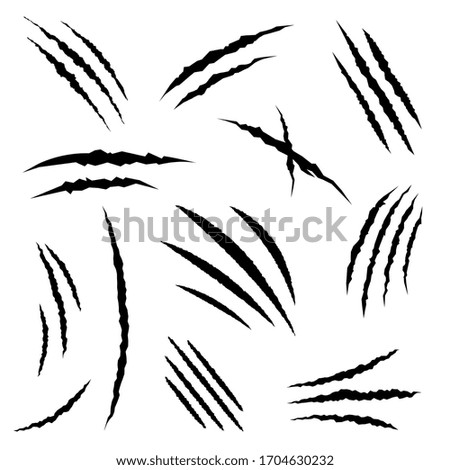 Bear Claw Clipart 