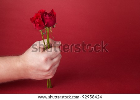 bouquet of red roses in a man\'s hand on a red background
