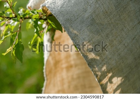 Similar – Image, Stock Photo Shadows of a hemp plant on wooden floorboards