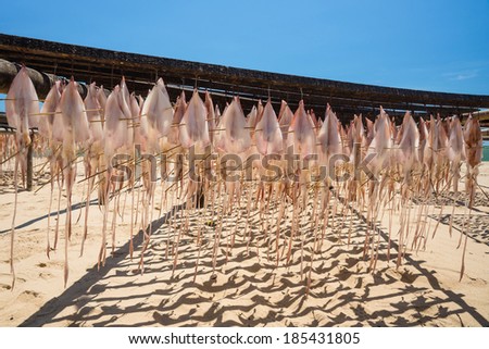 Seafood, dried by the sun I do many things, including fish, squid, shrimp.