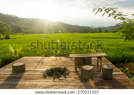 Relax corner in Green rice fields at evening