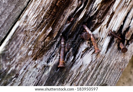 rusty nails in a piece of wood