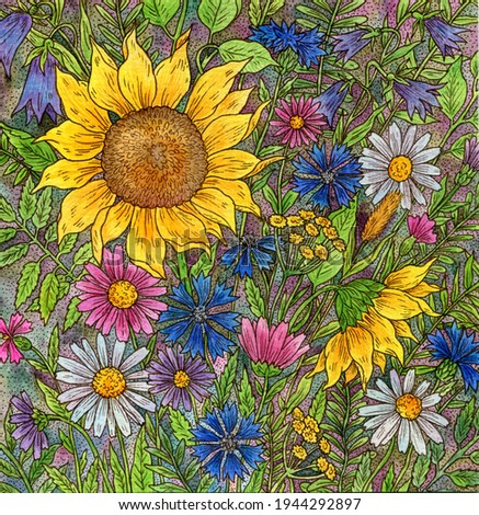 Flowers. Painting with watercolors and ink. Sunflowers, daisies and bells. Illustration for the decor and design of posters, postcards, prints, stickers, invitations, textiles and stationery.