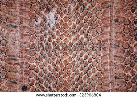 Reptile skin,snake skin background,Snake skin pattern background.