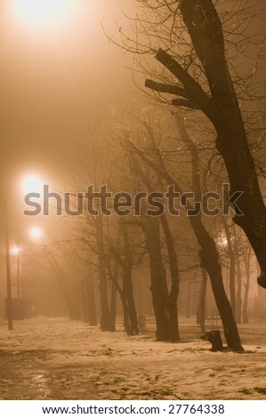 Naked trees in the light of lamps in a fog in the winter