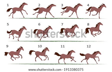 Horse running animation. Twelve key positions of horse running. Vector illustration isolated on white background.