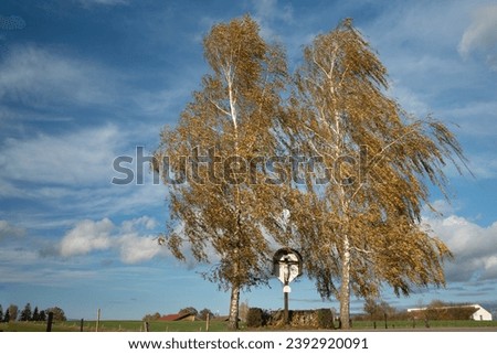 Similar – Foto Bild zwei Holzkreuze stehen auf einem Acker als stiller Protest der Landwirte