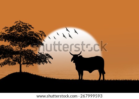 Silhouette cow standing on grass Background sunset