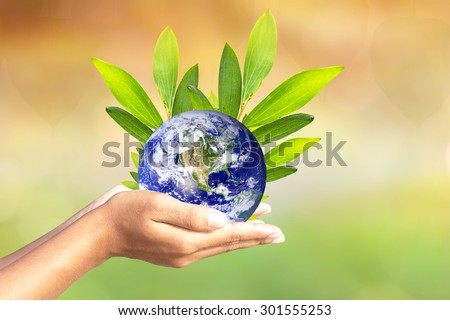 We love the world of ideas.world and trees in human hands. Natural background blur. Elements of this image furnished by NASA.